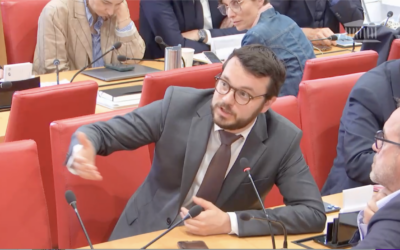 Donnons une chance à la pétition sur le référendum d’initiative citoyenne (RIC) !