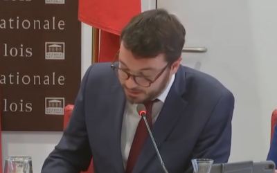 Proposition de report des élections provinciales et du congrès de Nouvelle-Calédonie
