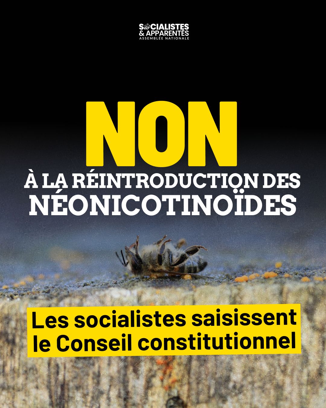 Loi « Duplomb » : un scandale pour la santé publique et l’écologie
